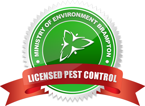 Pest-control-vaughan