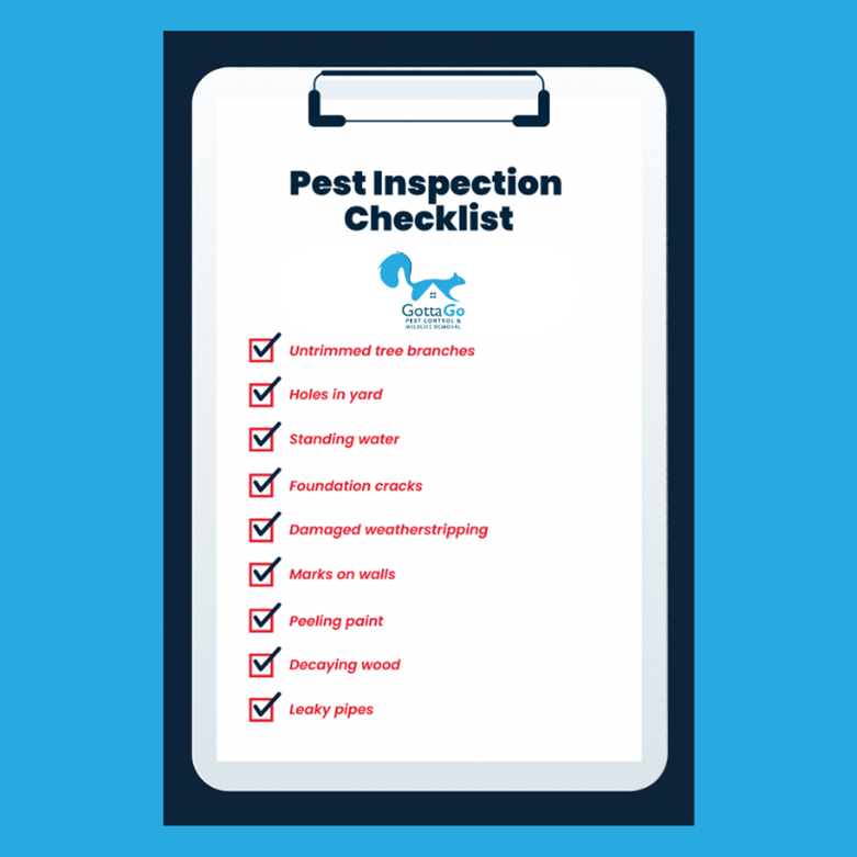 pest control etobicoke checklist